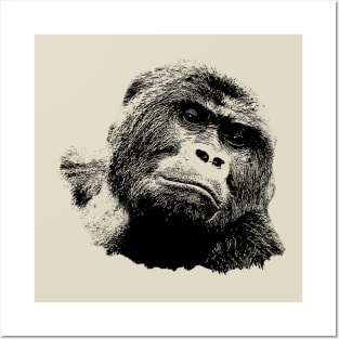 Gorilla portrait Posters and Art